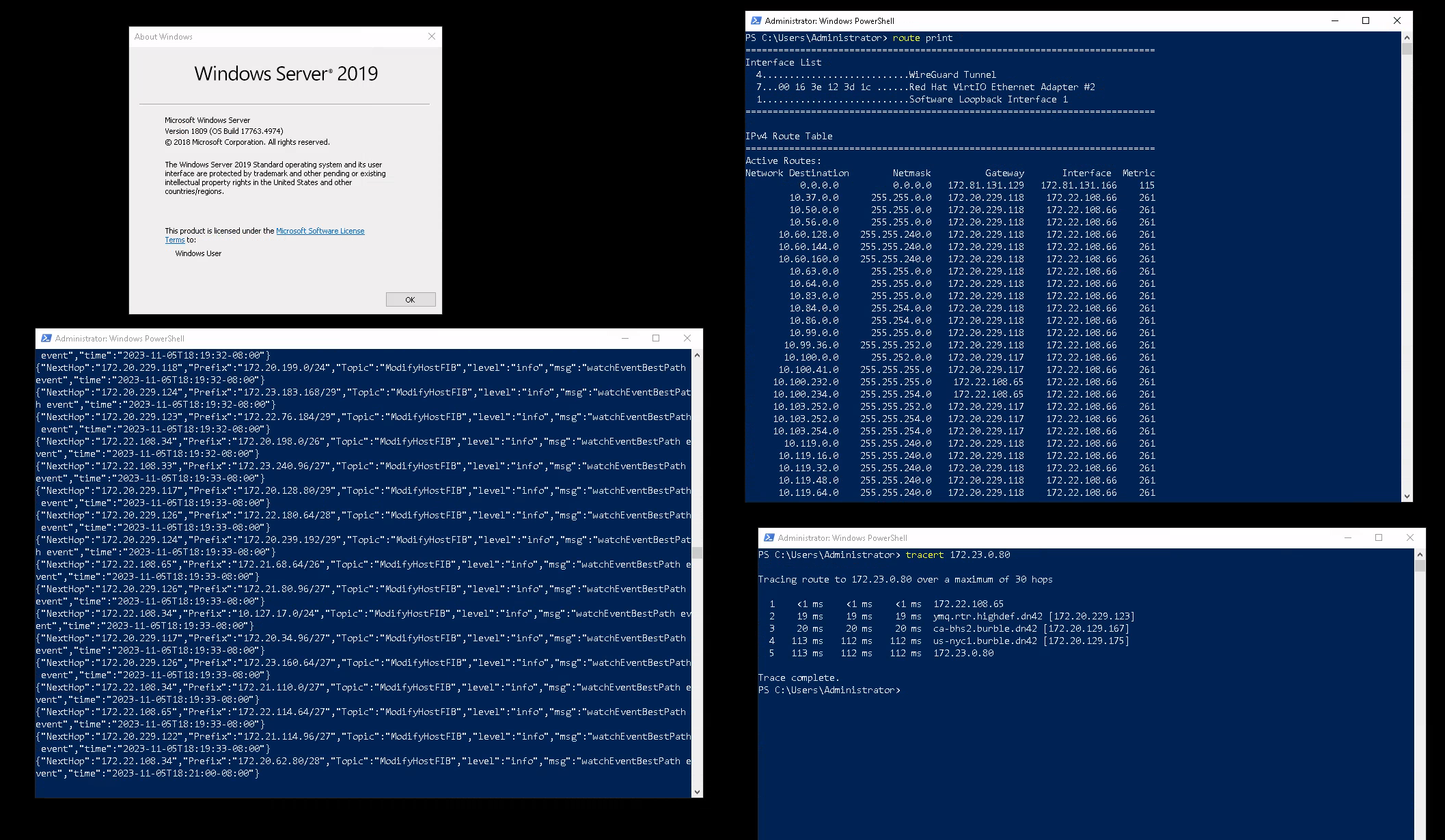 Demonstration of GoBGP running on Windows, with route table and traceroute to dn42 wiki